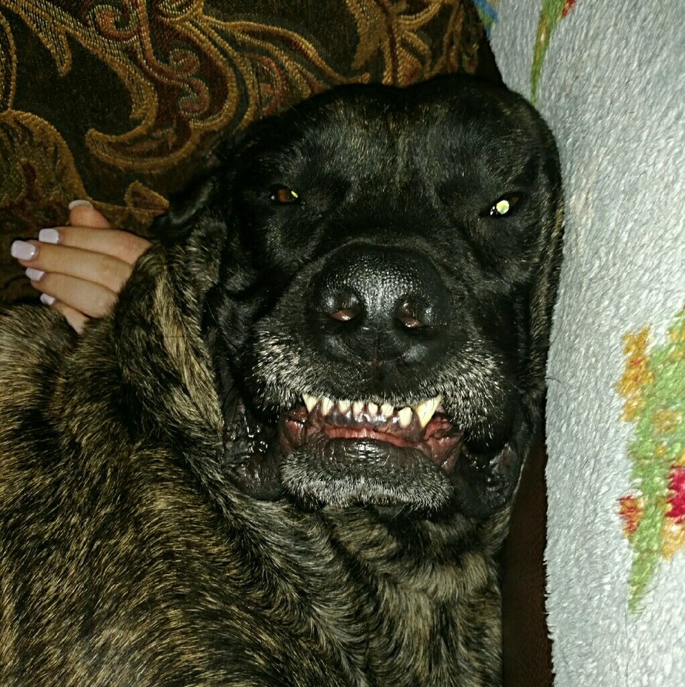 Meet your Posher, Michelle