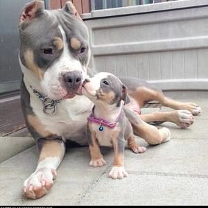 Meet your Posher, Lauri