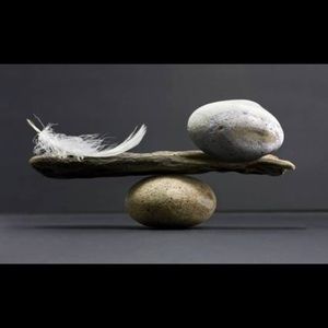 Meet your Posher, Paige