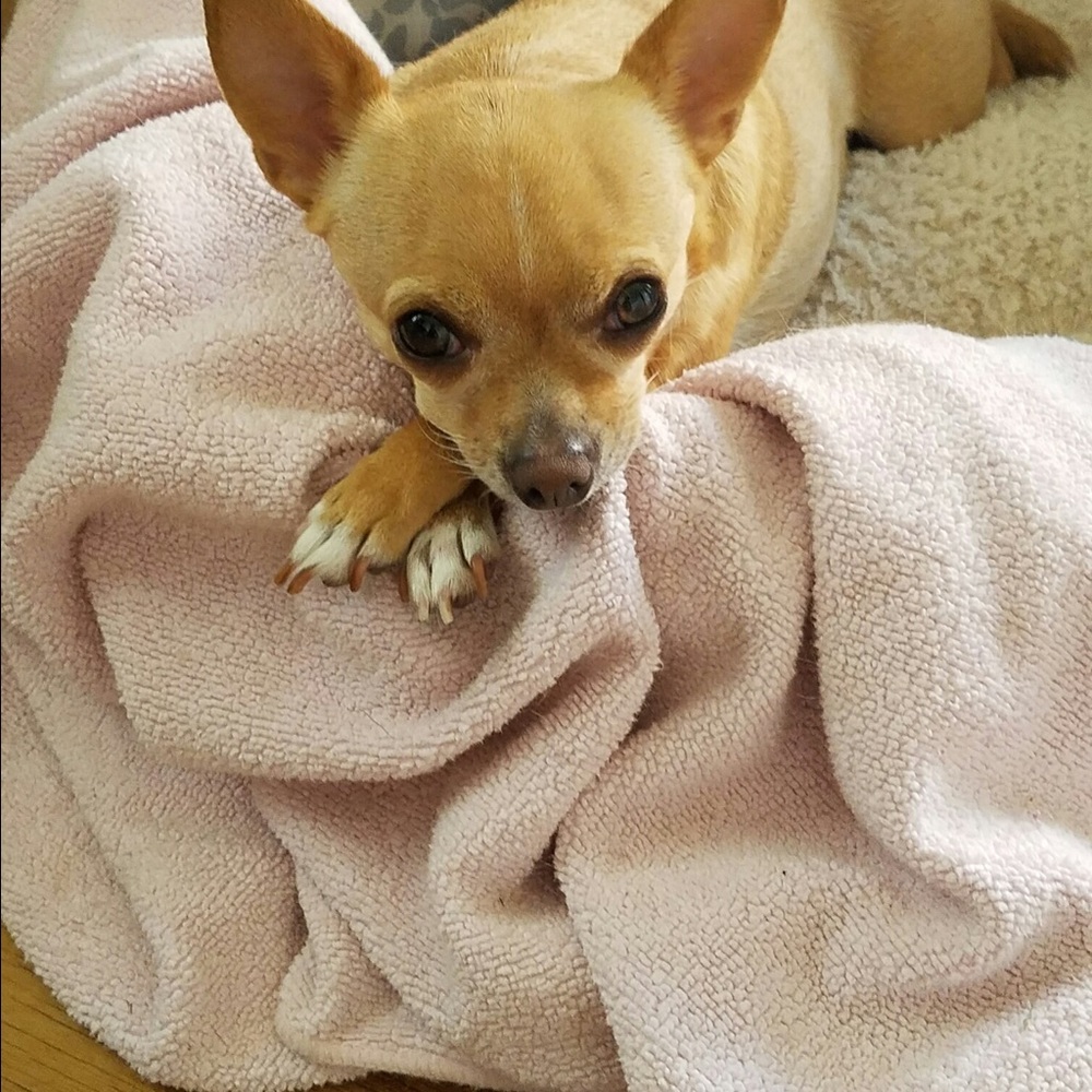 Meet your Posher, Carrie