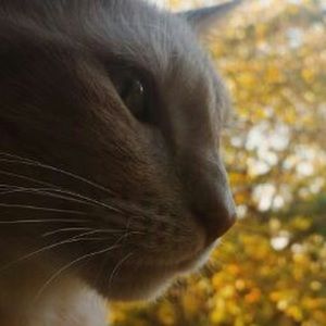 Meet your Posher, Meredith