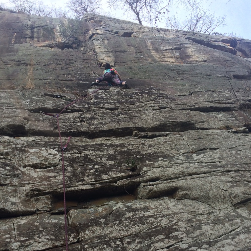 Meet your Posher, Natalie