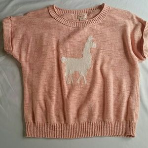 Pink Llama Sweater Shirt