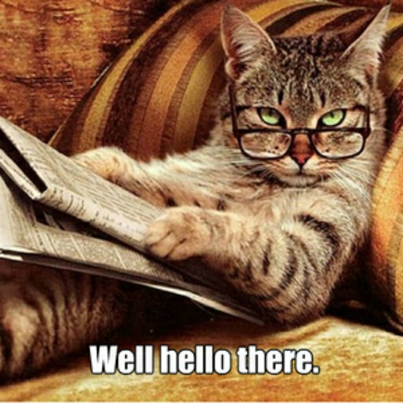 Meet your Posher, Dawn - Picture 2 of 8