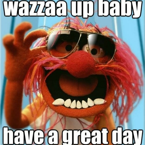 Meet your Posher, Dawn - Picture 4 of 8