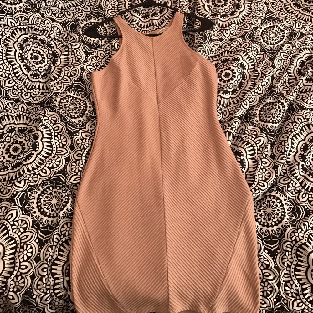 Brand New Charlotte Rousse Bodycon Dress