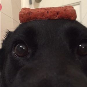 Meet your Posher, Ashlyn