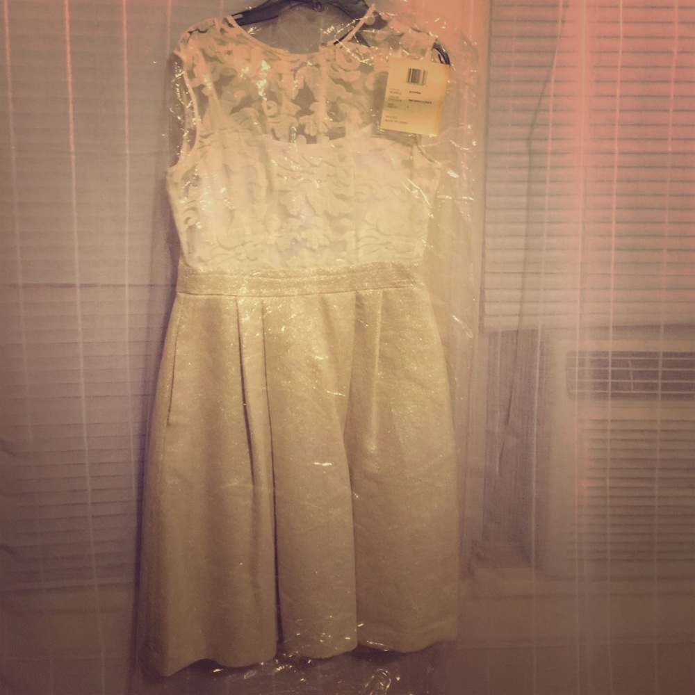 Cynthia Steffe Lace and Metallic Dress