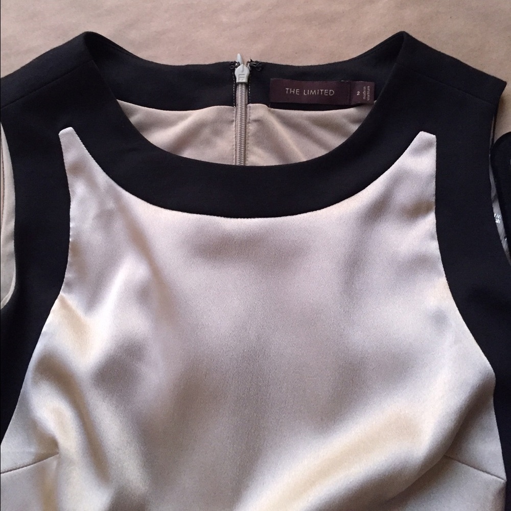 The Limited Dress - Picture 2 of 4