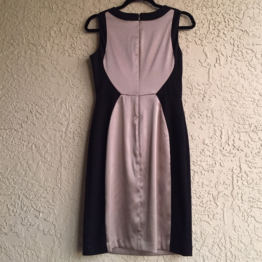 The Limited Dress - Picture 4 of 4