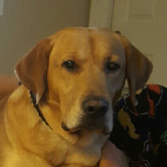 Meet your Posher, Coleen - Picture 1 of 1