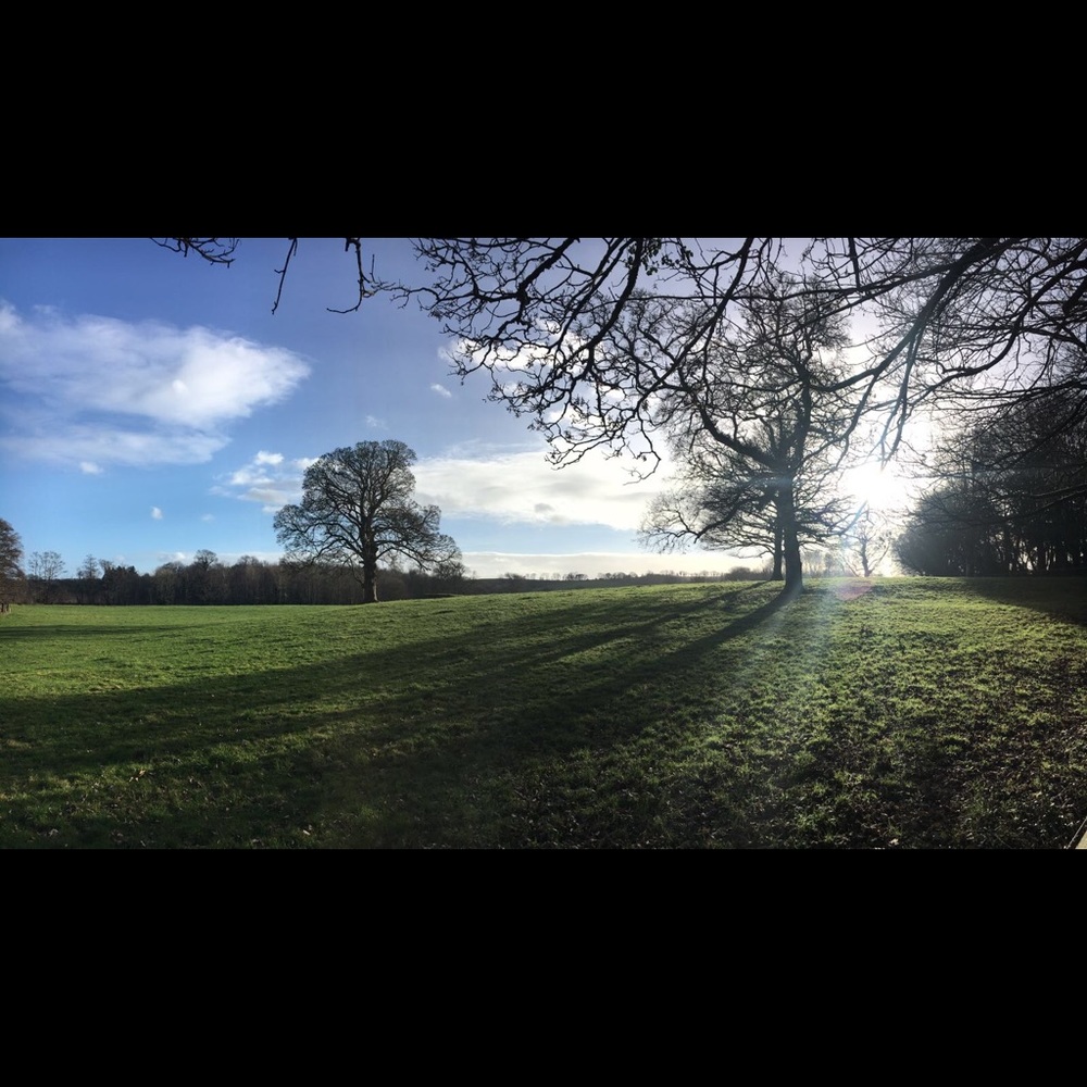 Meet your Posher, Carly