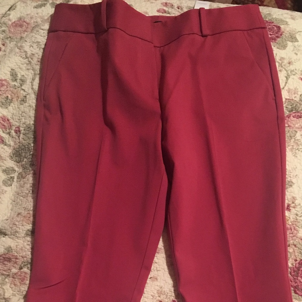 Loft Ankle Length Pants (12)