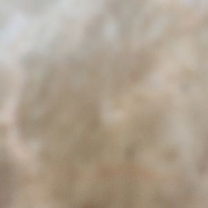 Meet your Posher, Mayra