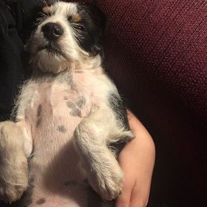 Meet your Posher, Haley