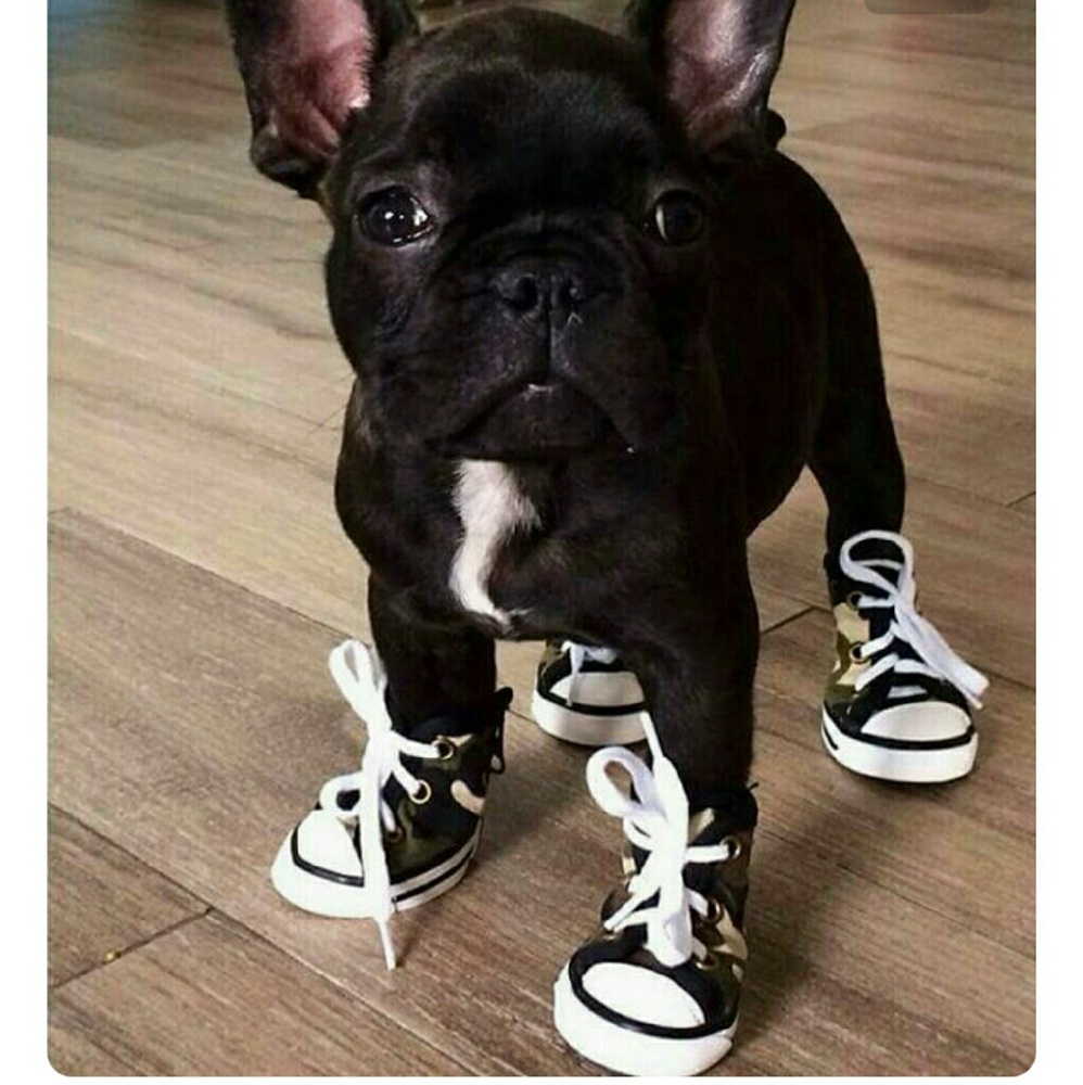 Meet your Posher, Tynleigh