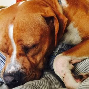 Meet your Posher, Addison