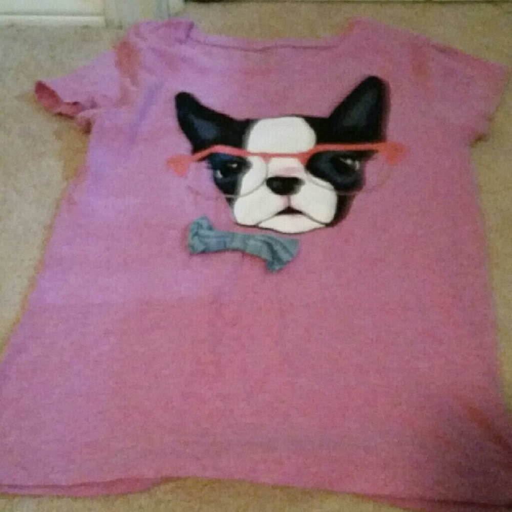 Purple boston terrier shirt