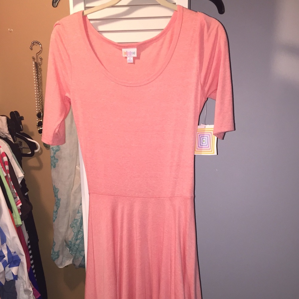 LulaRoe Nicole Dress NWT