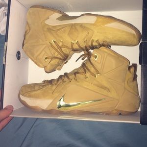 Lebron 12 wheats size 12 they are dead stock