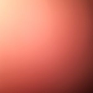 Meet your Posher, Demond