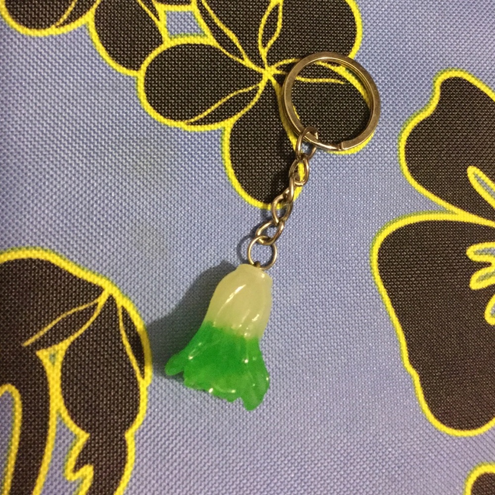Veggie keychain NWOT