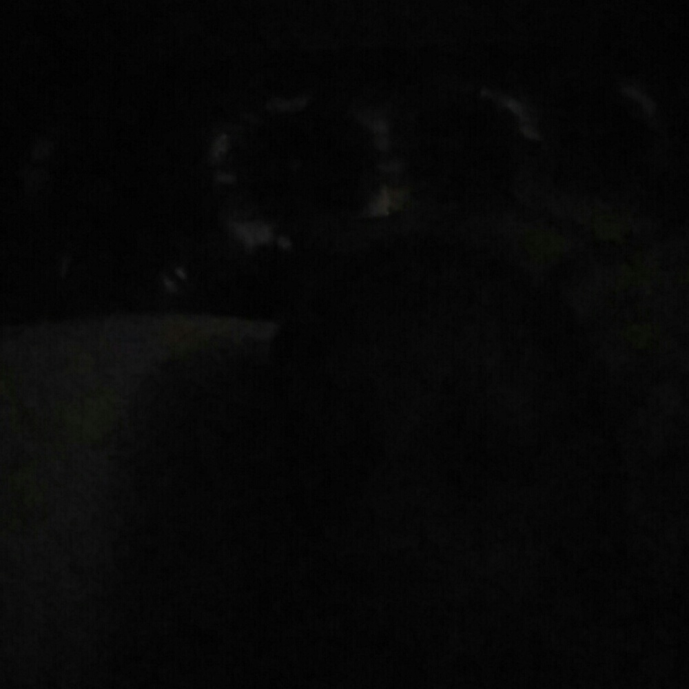 Meet your Posher, Kelli