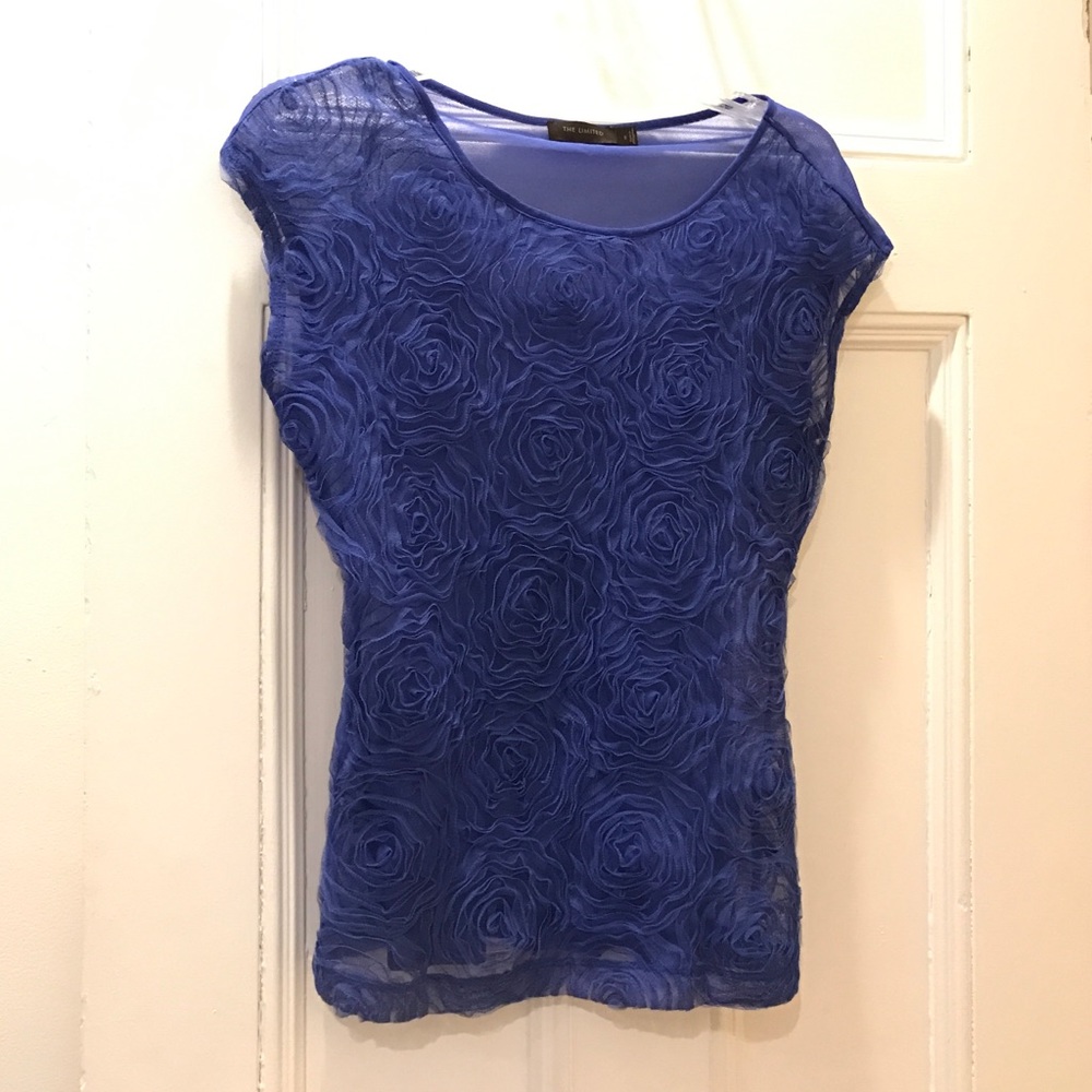 The Limited Blue Rosettes Mesh Top
