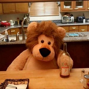 Meet your Posher, Alanna