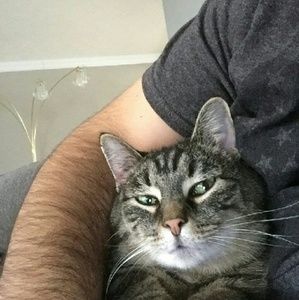 Meet your Posher, Arzu