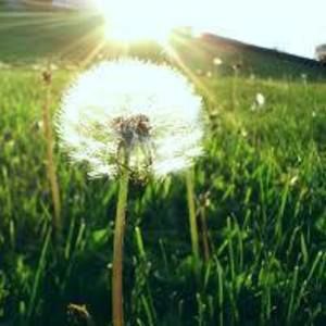 Meet your Posher, Cathy