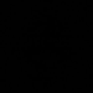 Meet your Posher, Katrina