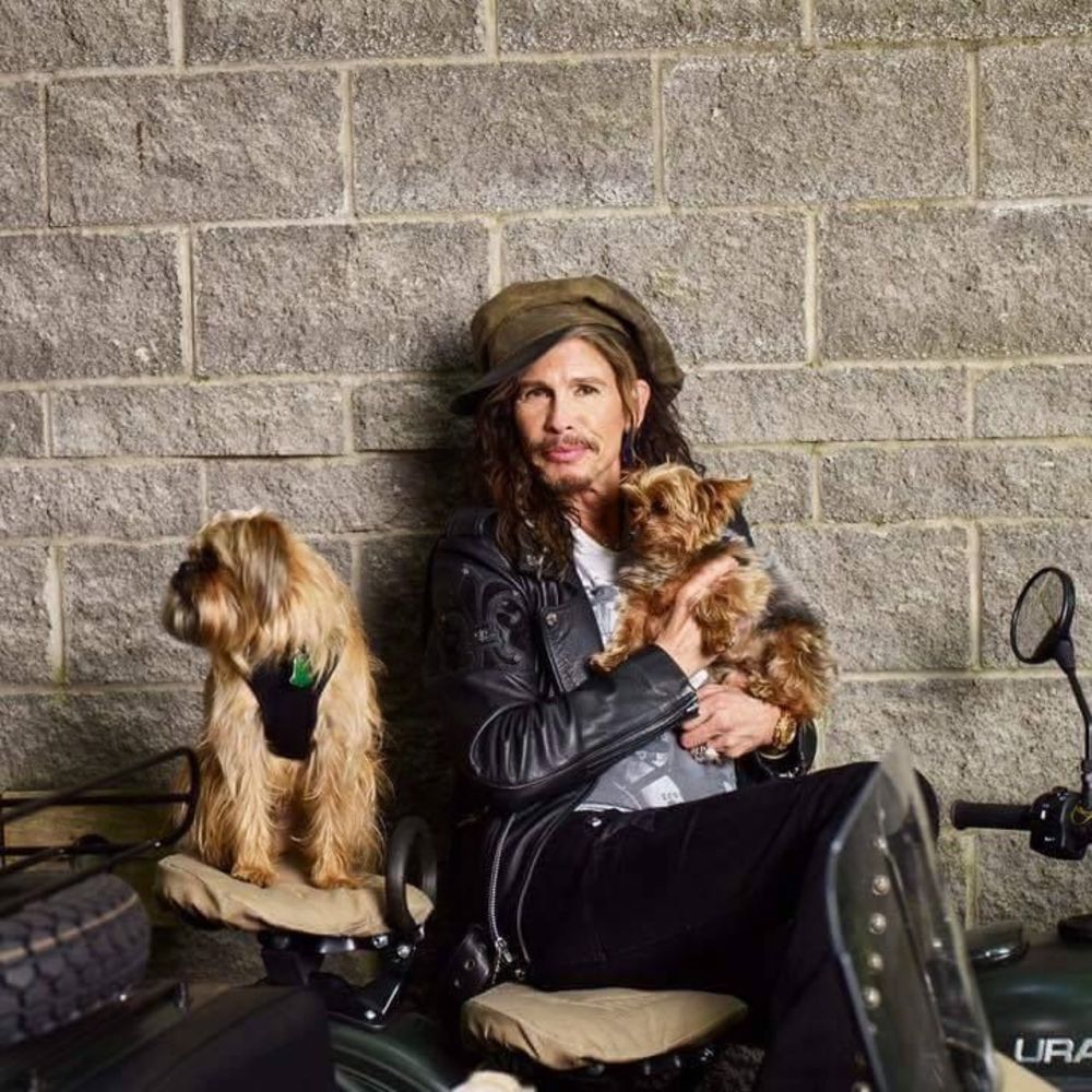 Meet your Posher, Holly