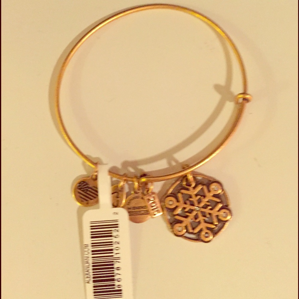 Alex and Ani Gold Bangle - NWT
