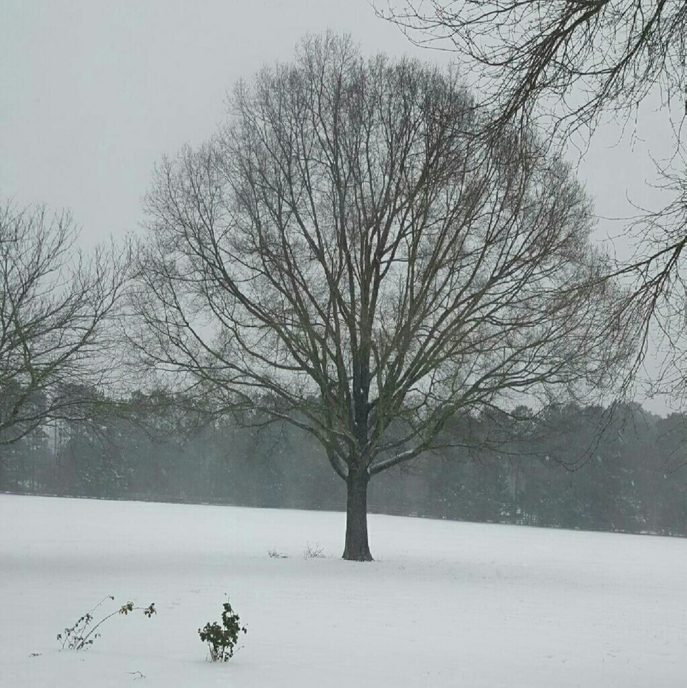 Meet your Posher, Tonya