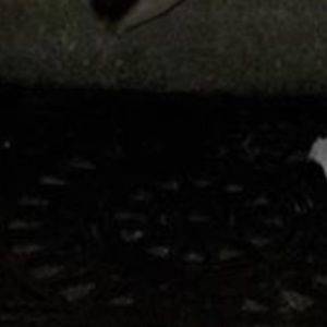 Meet your Posher, Drew