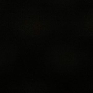 Meet your Posher, Kenna