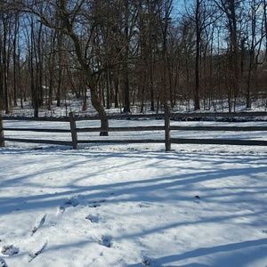 Meet your Posher, Tamara