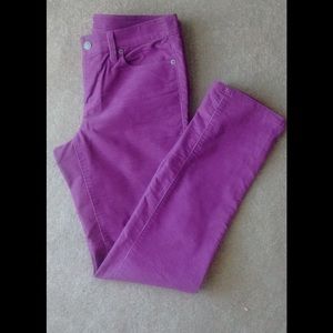 LOFT Berry Corduroy/Velvet Pants Size 6