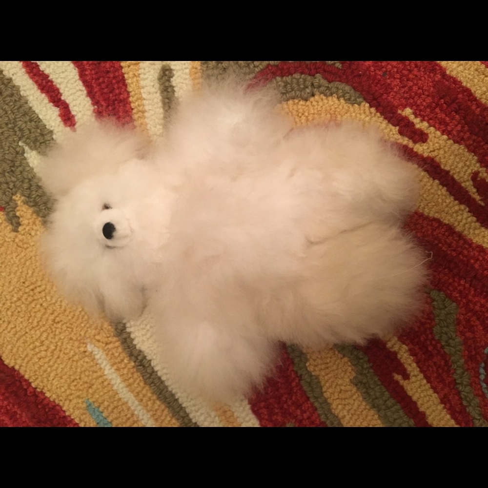 Alpaca stuffed animal
