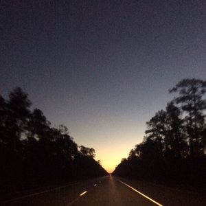 Meet your Posher, Bee