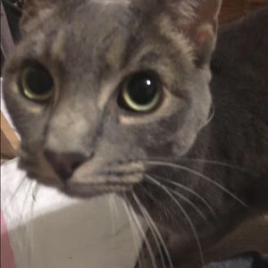 Meet your Posher, Christina