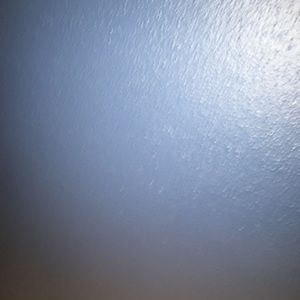 Meet your Posher, Brady