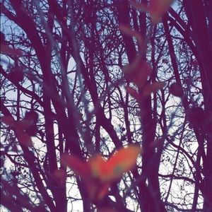 Meet your Posher, Elisa