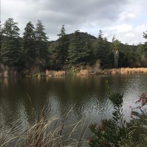 Meet your Posher, Nina