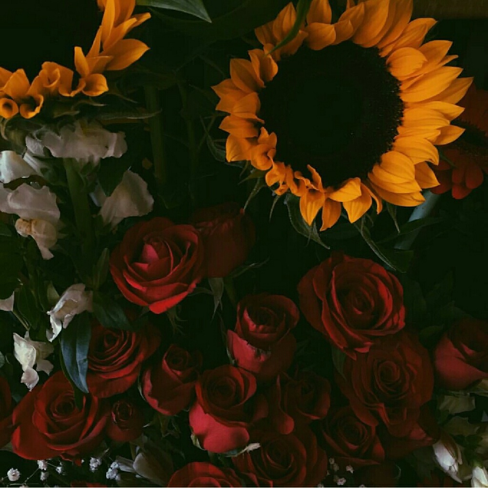 Meet your Posher, Brooklynn