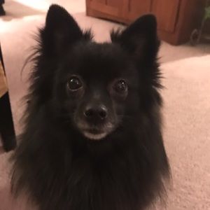 Meet your Posher, Marlo