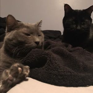 Meet your Posher, Amy