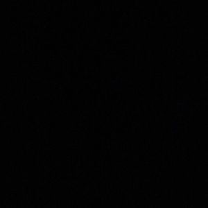 Meet your Posher, Ashlee