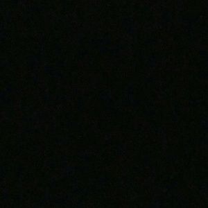 Meet your Posher, Brandi